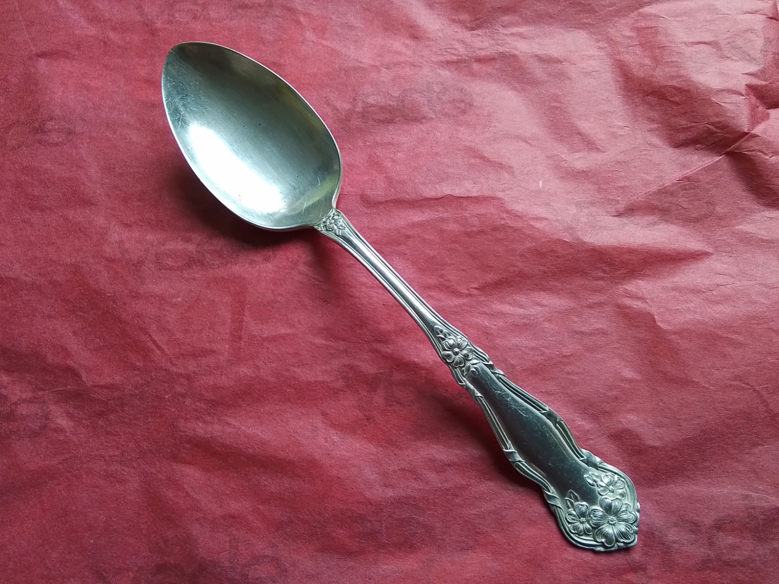 Wm Rogers & Son ARBUTRUS 1908 Silverplate Serving Spoon 8.25