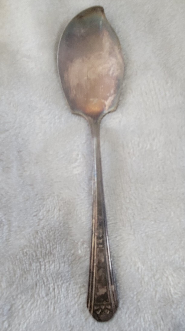 Jelly Server Vintage Spoon WM Rogers Sons Legion Pattern Silverplate 6 1/4