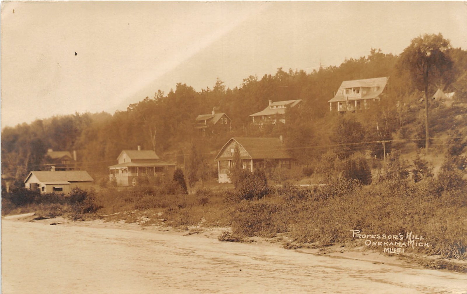 H4/ Onekama Michigan RPPC Postcard c1910 Professor\'s Hill Cottages