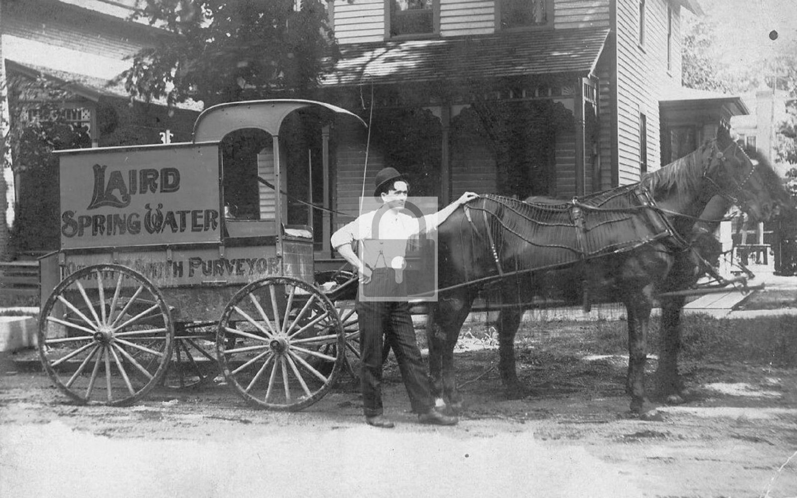 Laird Spring Water Horse Wagon Winona Minnesota MN - Reprint