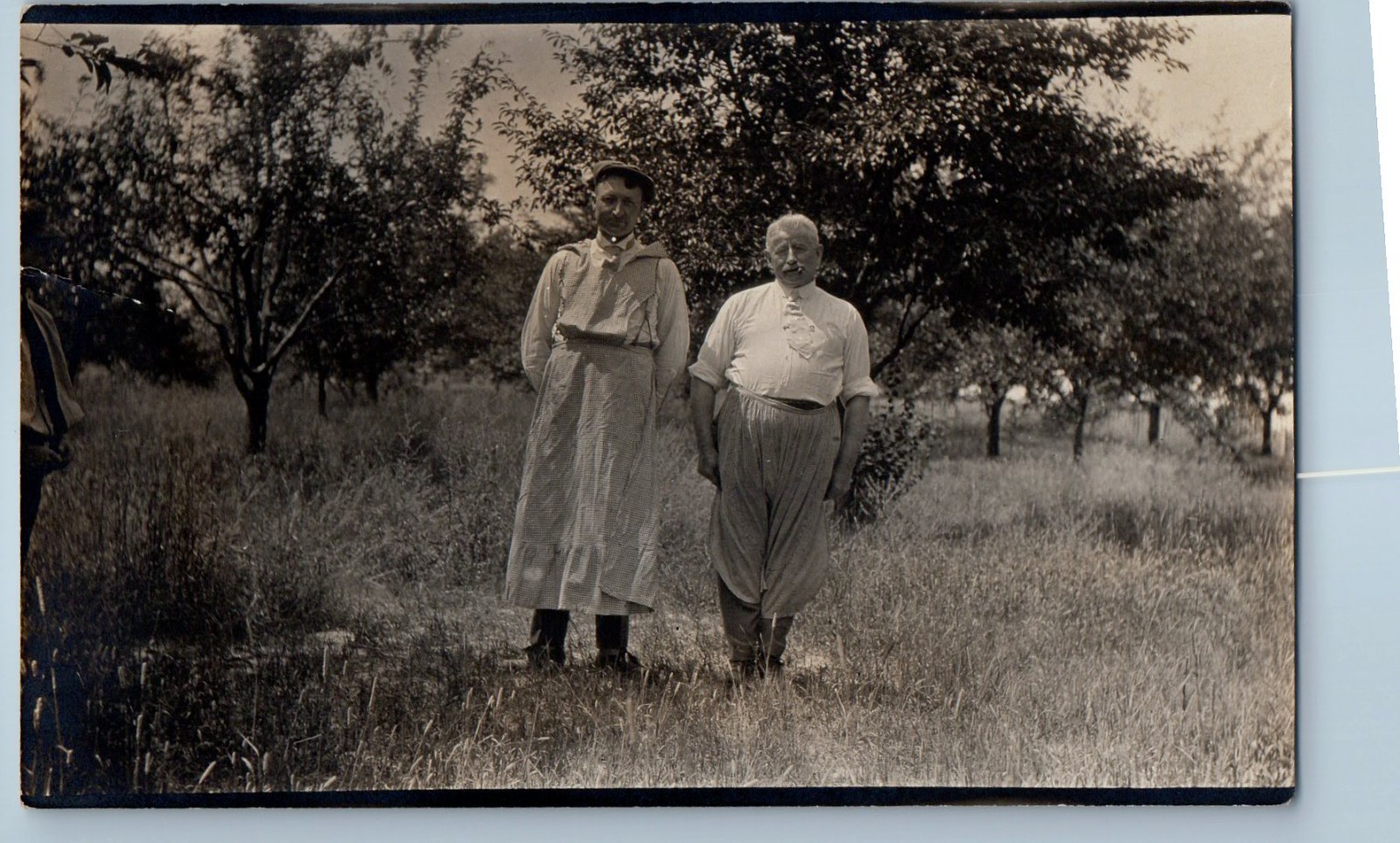 c1910\'s Two Men Orchard Scene Field Jackson MI RPPC Photo Antique Postcard c1910\'s Two Men Orchard Scene Field Jackson MI RPPC Photo Antique Postcard