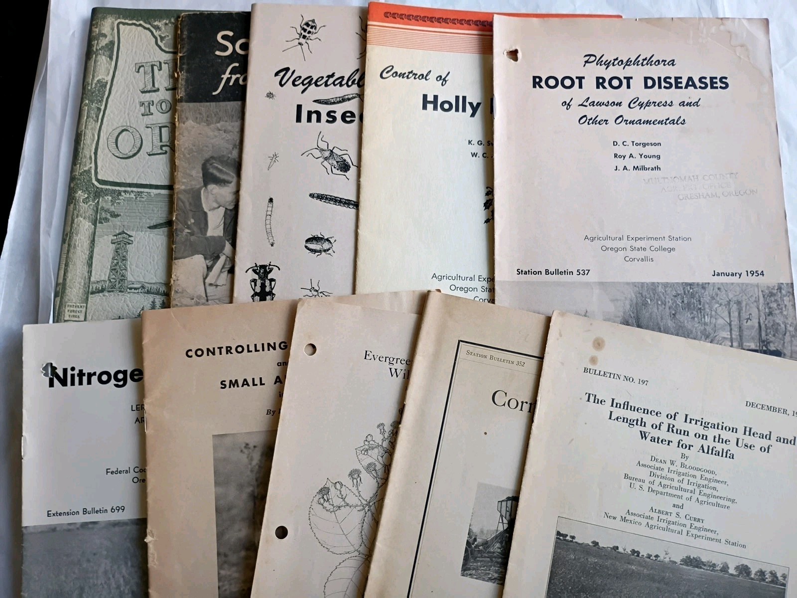 Lot Of 10 Vtg Oregon State College Bulletins Soil, Crops, Insects, Etc (971)