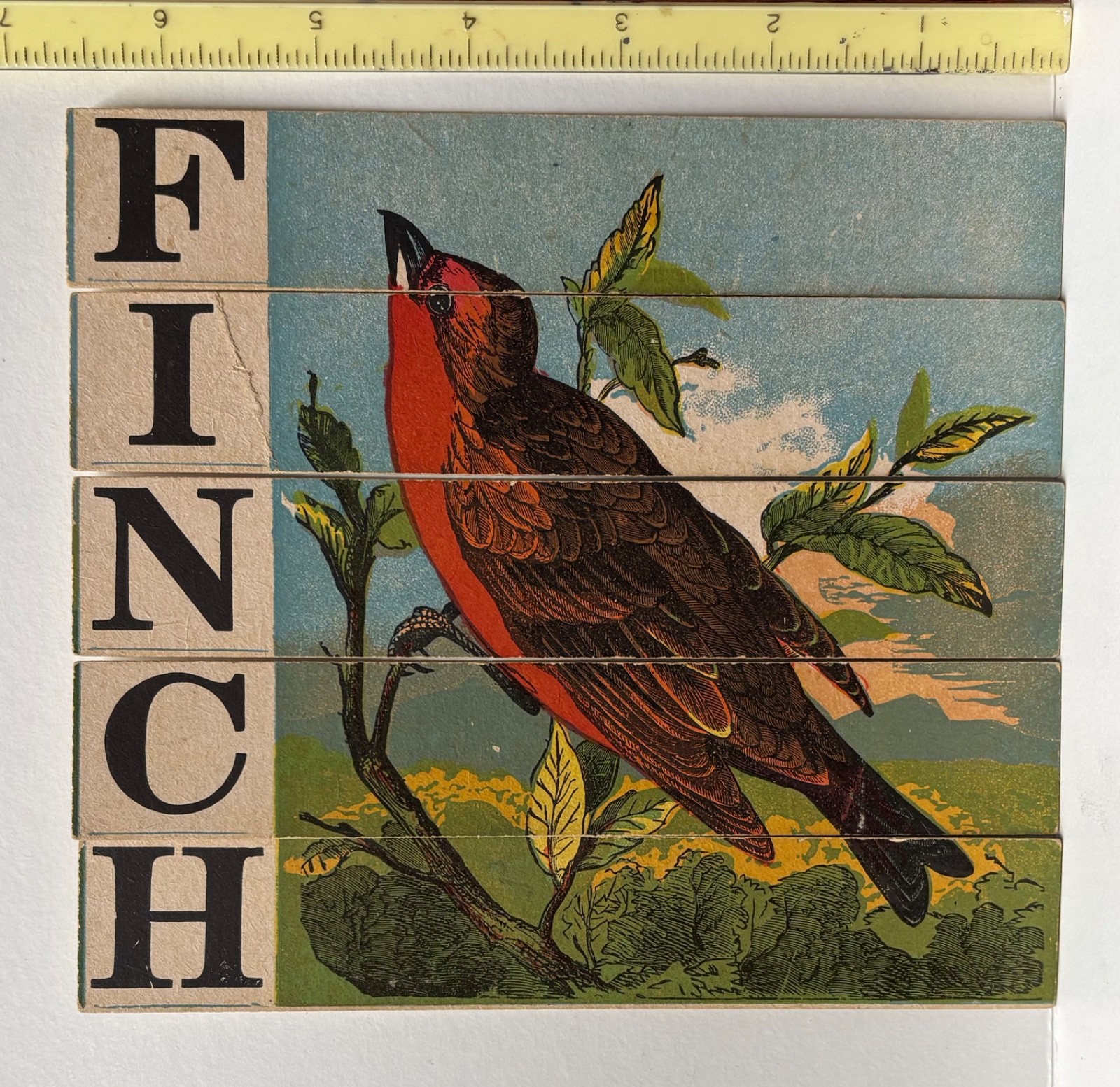 1880’S VICTORIAN DISSECTED SLAT PUZZLE SPELLS FINCH~BIRD ON TREE BRANCH 1880’S VICTORIAN DISSECTED SLAT PUZZLE SPELLS FINCH~BIRD ON TREE BRANCH