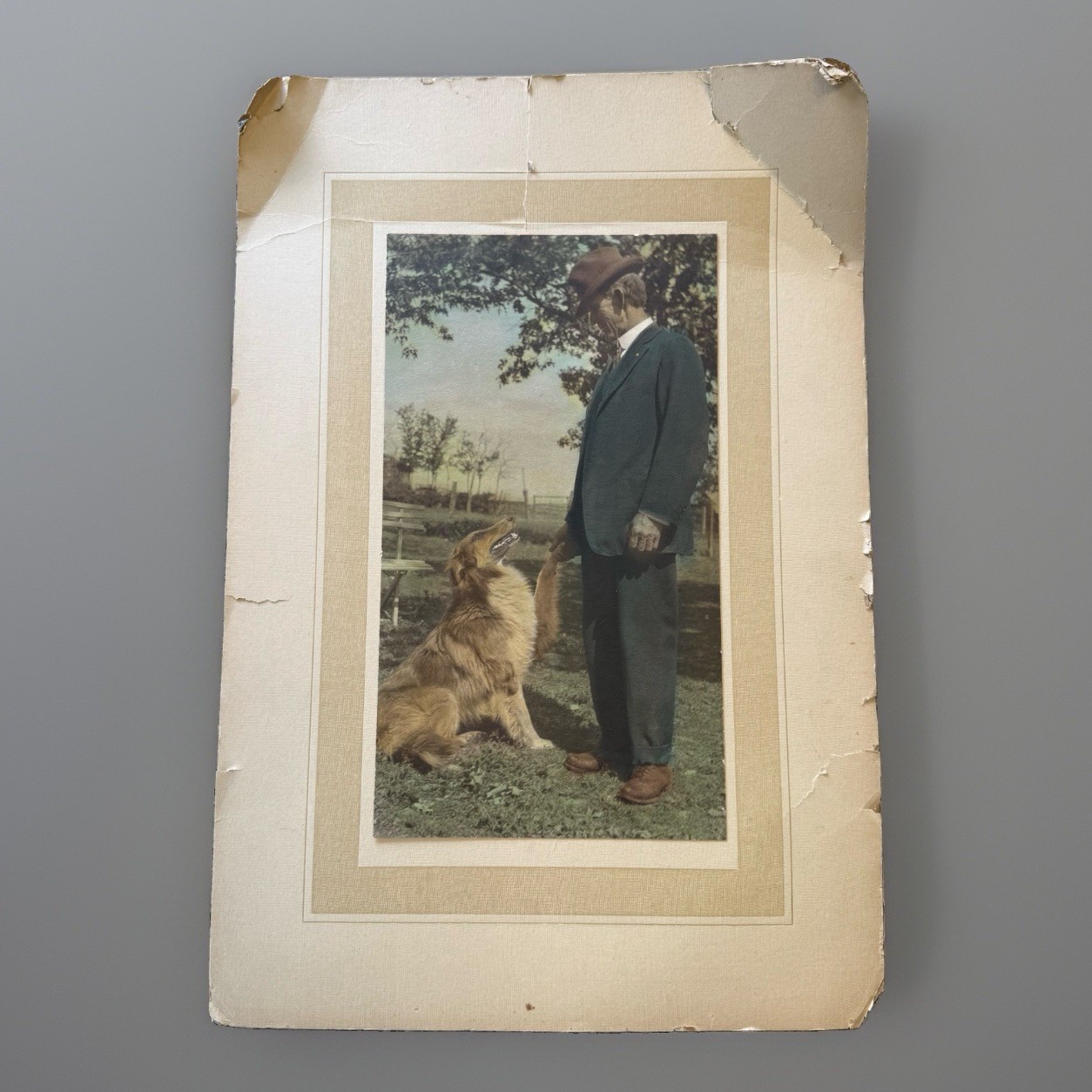 Antique c1940 Alex Waddell w Dog Identified Photo Portrait Genealogy 12x17