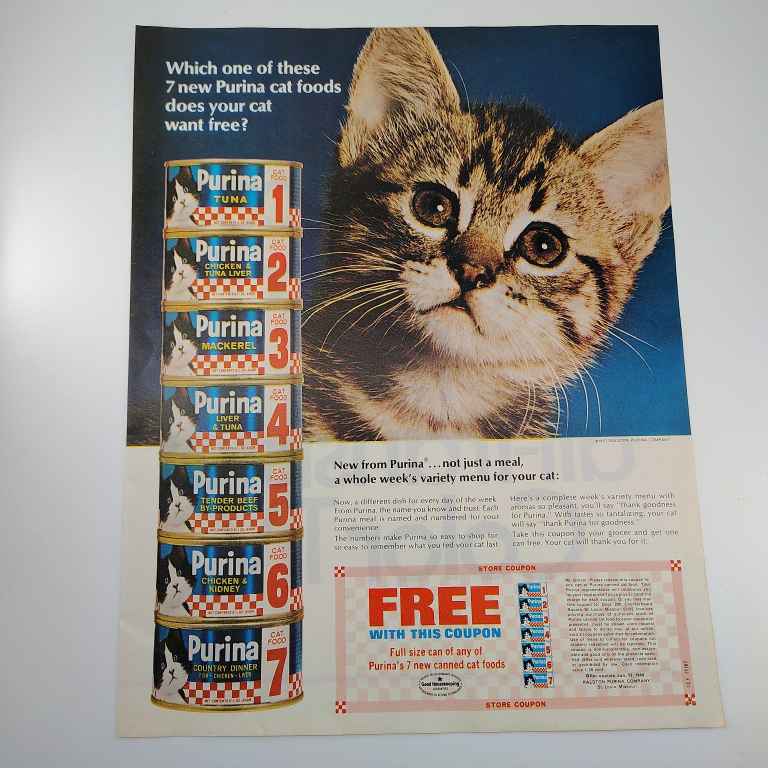 Vintage 1967 Purina Cat Food Magazine Print Ad Kitten Checkerboard Art 10x13