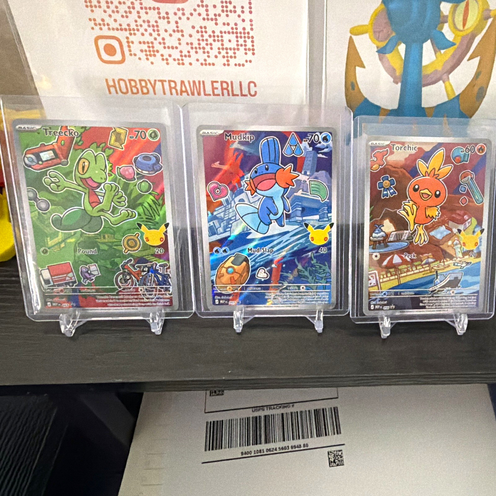 Pokémon McDonald's Collection 2023 Treecko Torchic Mudkip 3-Card Lot 055-057