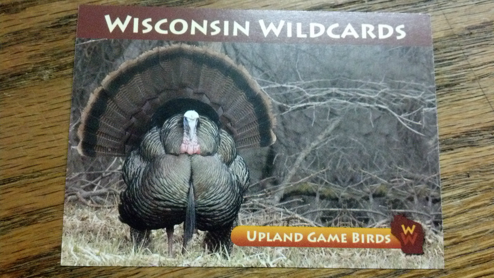 WISCONSIN WILDCARDS, WILD TURKEY--TOM, UPLAND GAME BIRDS, 3-1/2\ WISCONSIN WILDCARDS, WILD TURKEY--TOM, UPLAND GAME BIRDS, 3-1/2\