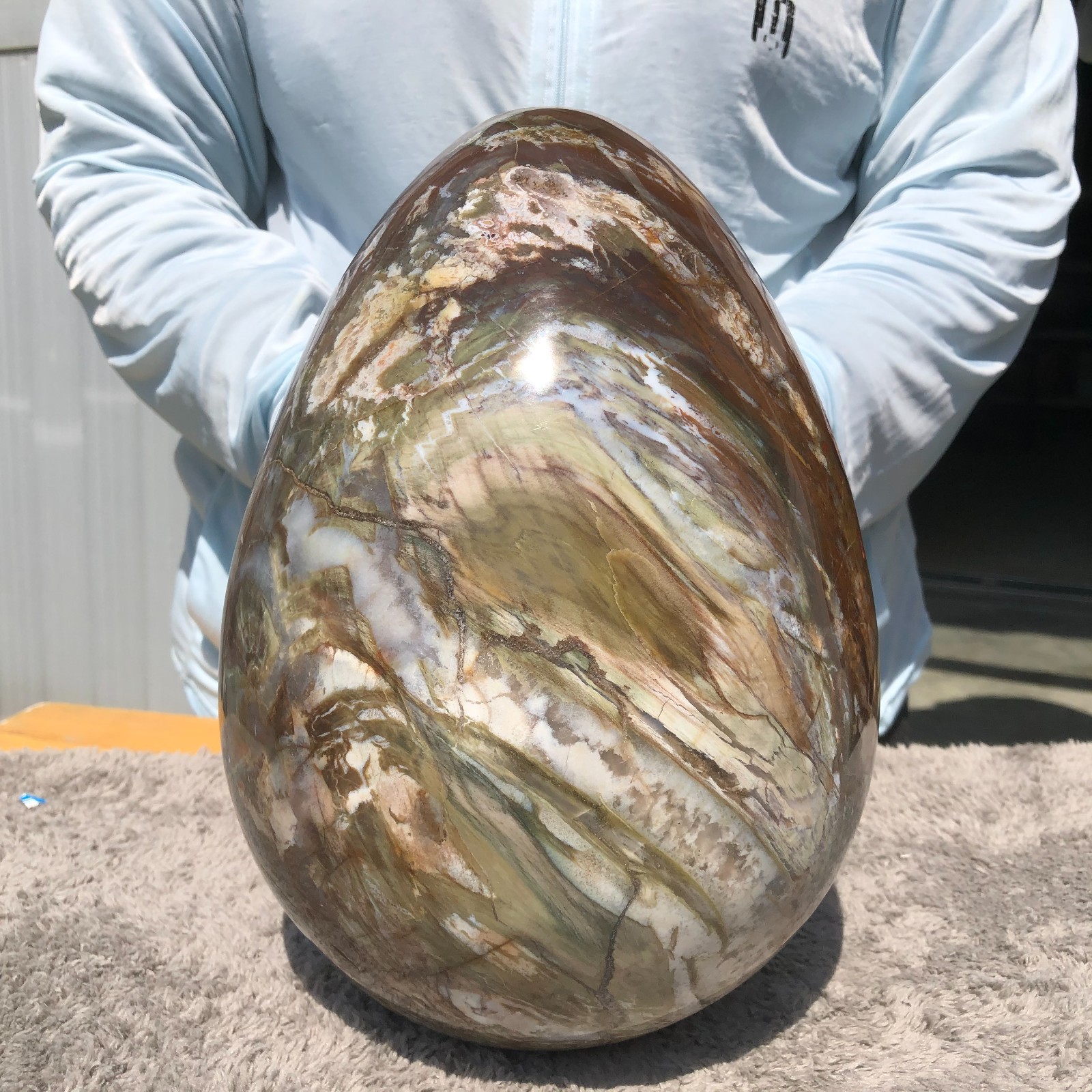 26.7LB Natural wood fossil Quartz Crystal egg Mineral specimen Healing