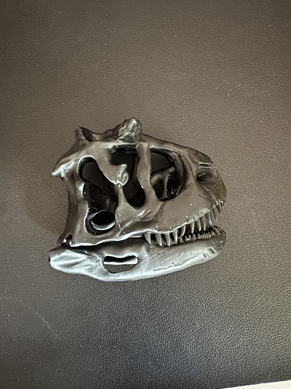 Carnotaurus (Black) | Skull Replica (Palm sized)