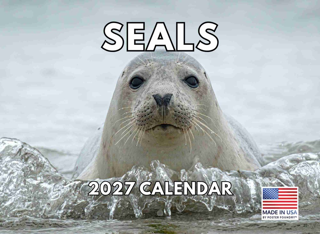 Seal Calendar 2027 Monthly Wall Calender 12 Month Ocean Sea Seal Calendar 2027 Monthly Wall Calender 12 Month Ocean Sea