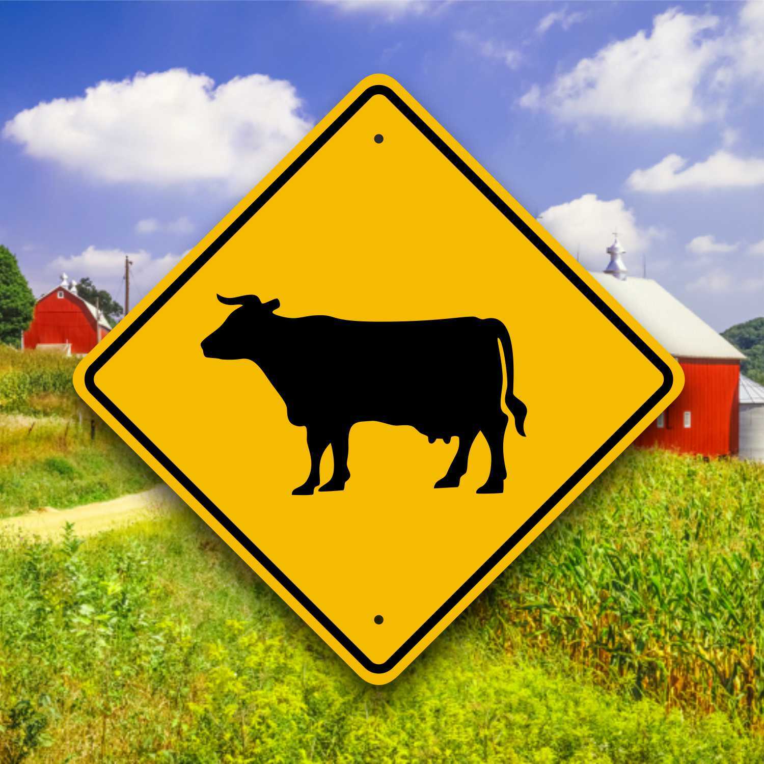 COW CROSSING SIGN    /     Aluminum  Farm Safety Plaque  - Country Decor - Barn