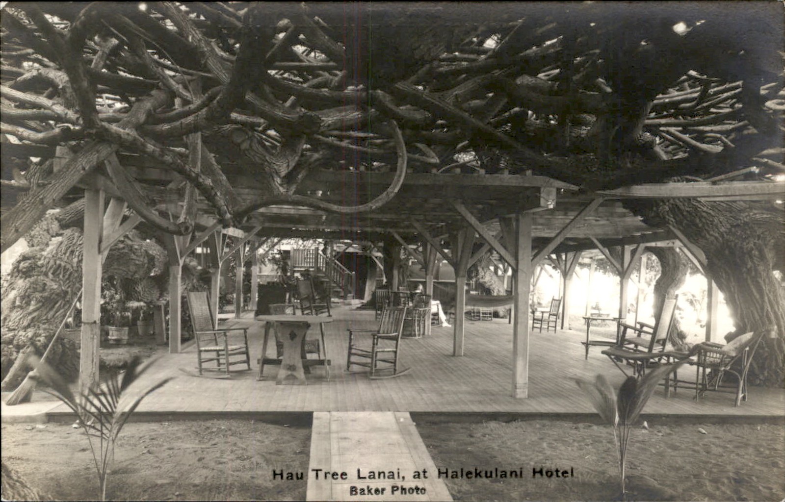 Honolulu HI Hotel Lanai Baker Photo c1910s-20s Real Photo Vintage Postcard bhn Honolulu HI Hotel Lanai Baker Photo c1910s-20s Real Photo Vintage Postcard bhn