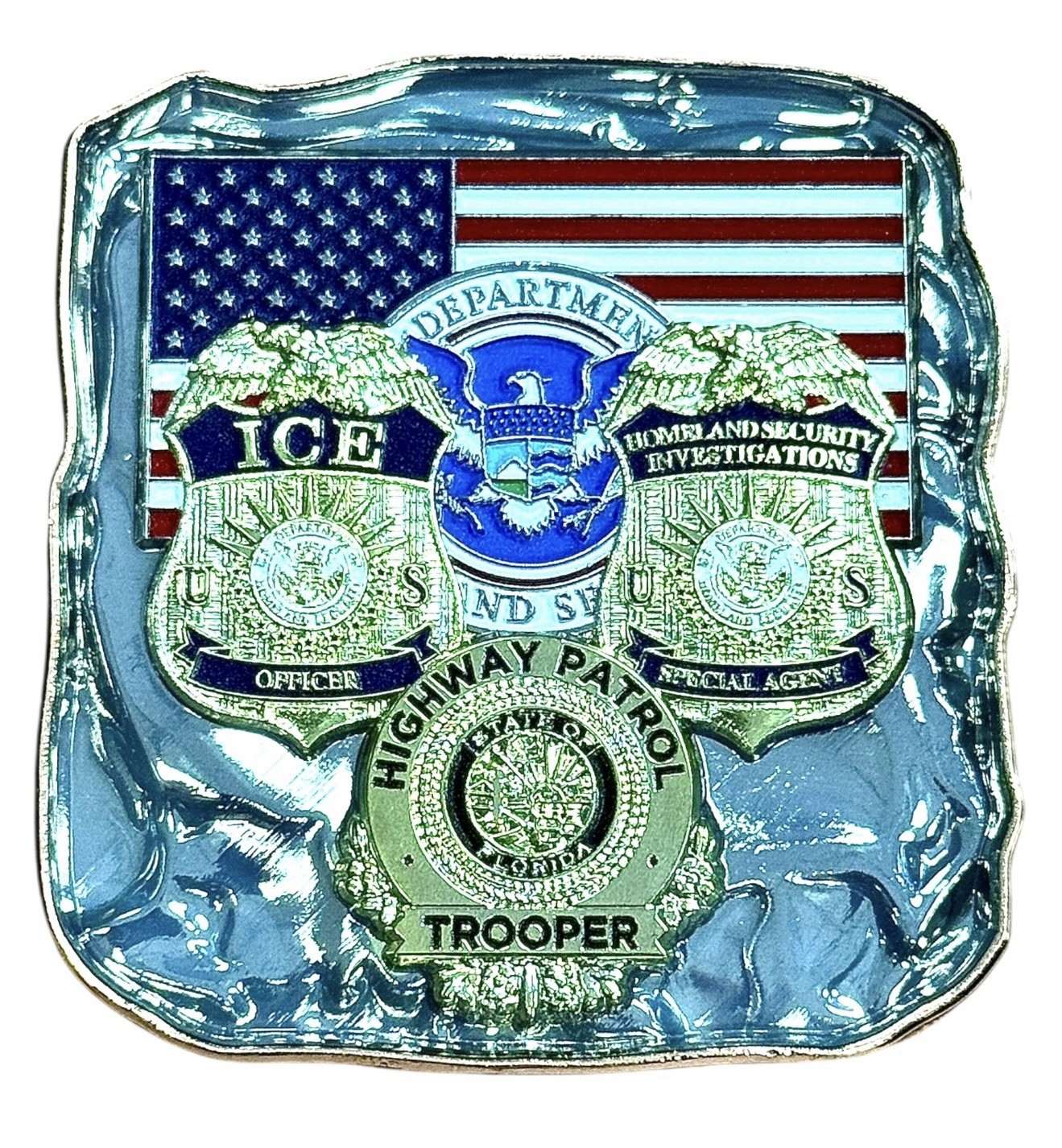 ICE HSI FHP 287g Immigration Enforcement Ice Cube Challenge Coin Law Enforcement
