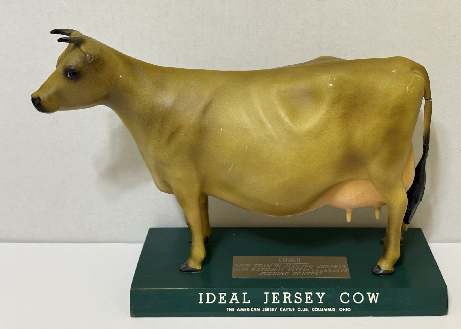RARE Ideal Jersey Cow STORE COUNTER DISPLAY American Cattle Club DAIRY Figure RARE Ideal Jersey Cow STORE COUNTER DISPLAY American Cattle Club DAIRY Figure