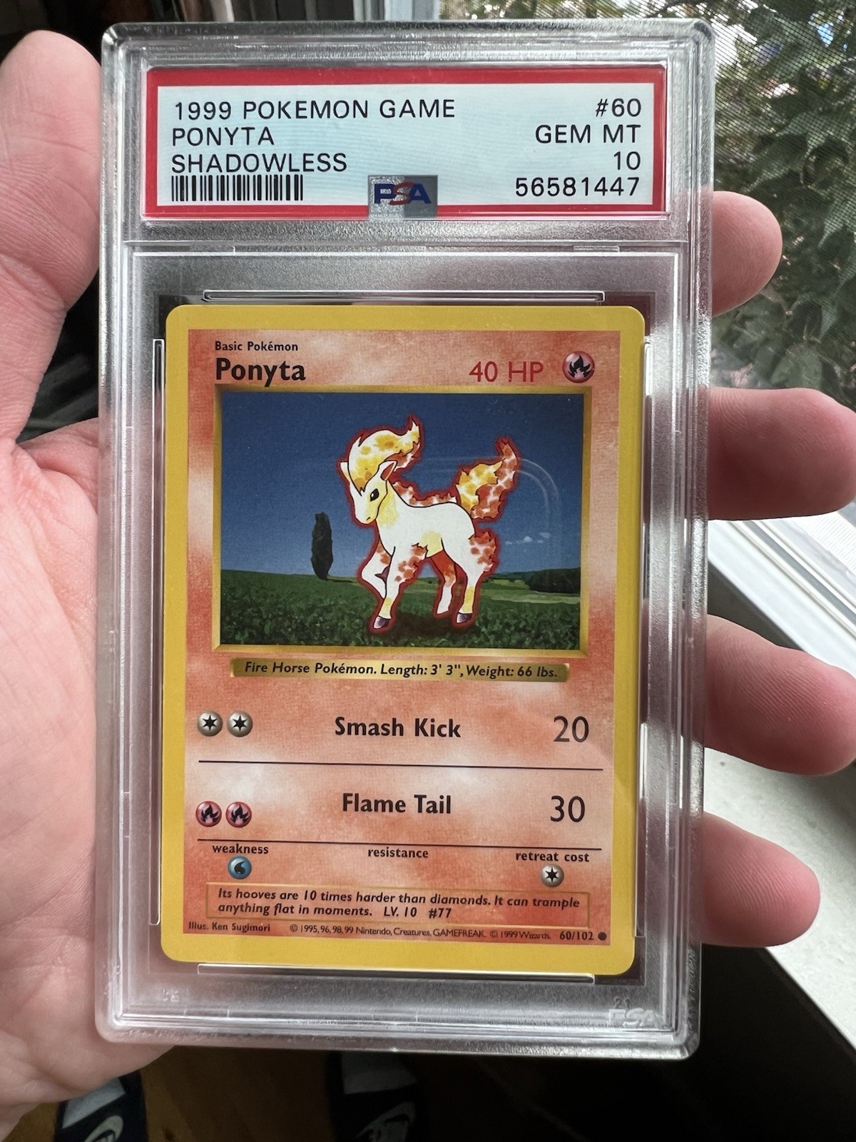 1999 Pokemon Base Set Shadowless Ponyta 60/102 PSA 10 GEM MINT 1999 Pokemon Base Set Shadowless Ponyta 60/102 PSA 10 GEM MINT
