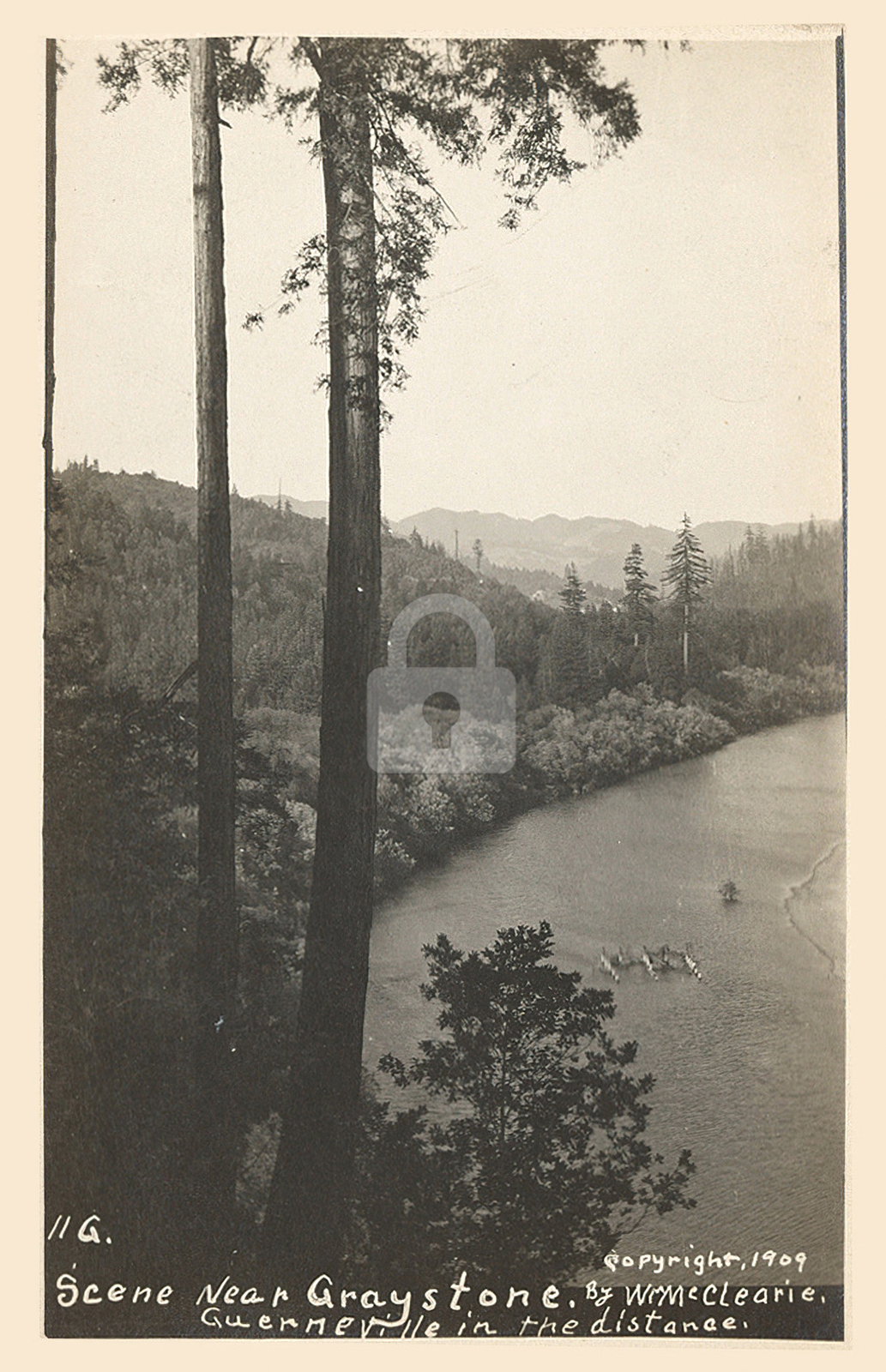 Scene near Graystone CA, Guerneville 1909  RPPC Photo Postcard Copy