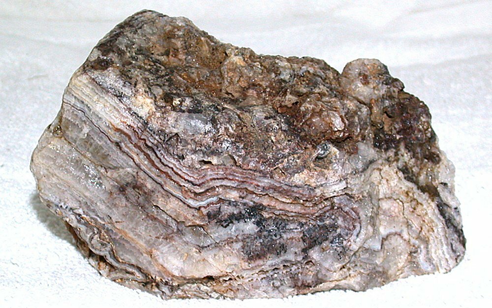 1140 Grams 3 Lb 8.2 Oz Crazy Lace Arizona Mexican Calandra Cabochon Rough CLAS1