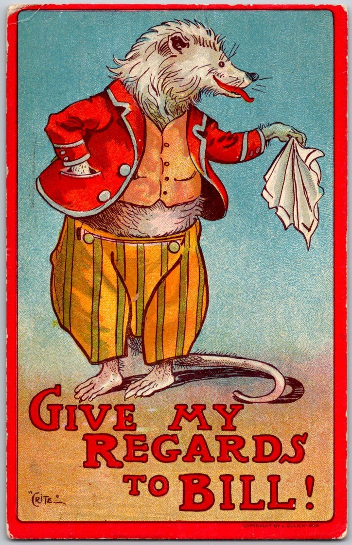 Antique 1909 Postcard ~ Crite Billy Possum Give My Regards to Bill