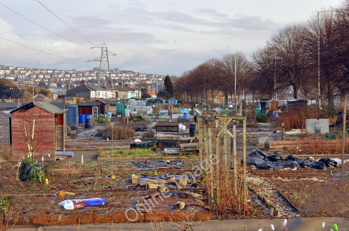 Photo 12x8 Embankment allotments - Plymouth Laira  c2010