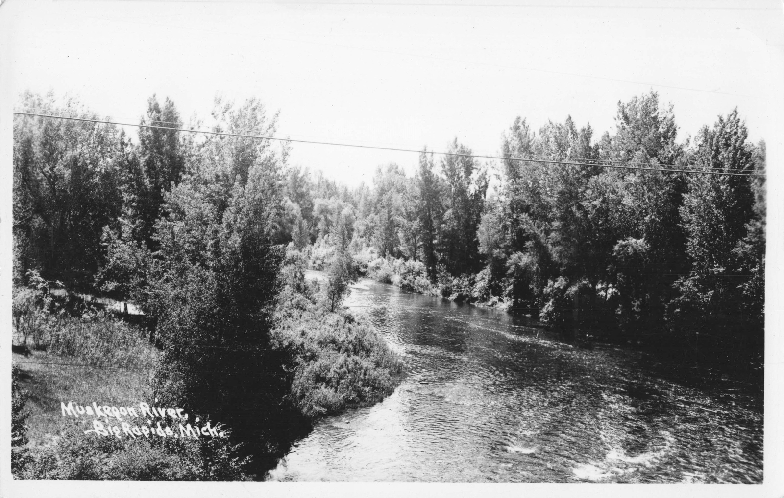 CEN Big Rapids MI RPPC Muskegon River Big Time STEELHEAD & NATIVE TROUT COUNTRY