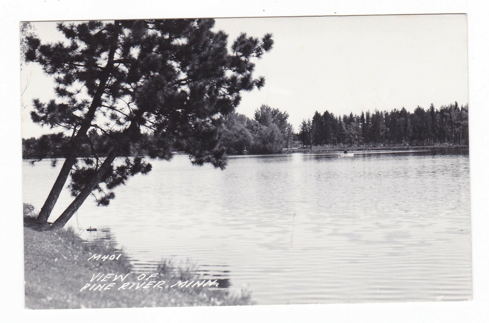 1951 PINE RIVER MN NORWAY LAKE PANORMIC VINTAGE REAL PHOTO POSTCARD MINNESOTA 