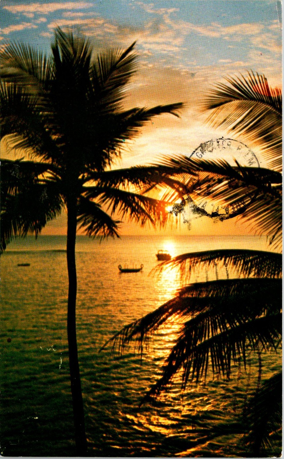 Florida Sunset Palm Trees Ocean Chrome Postcard Posted Robert Freund