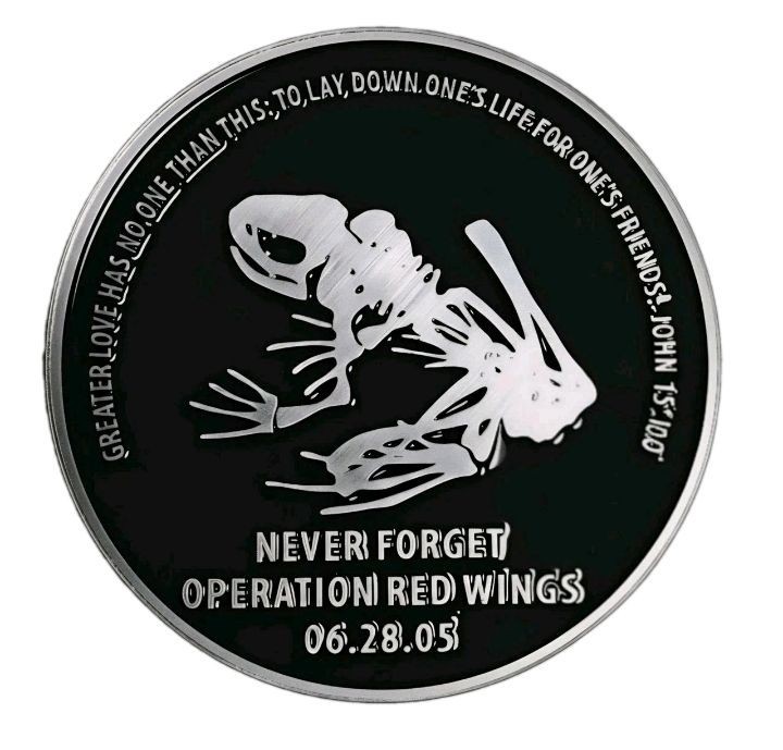 Operation Red Wings Navy Seal Team 10 Navy SEAL 06.28.05⁸