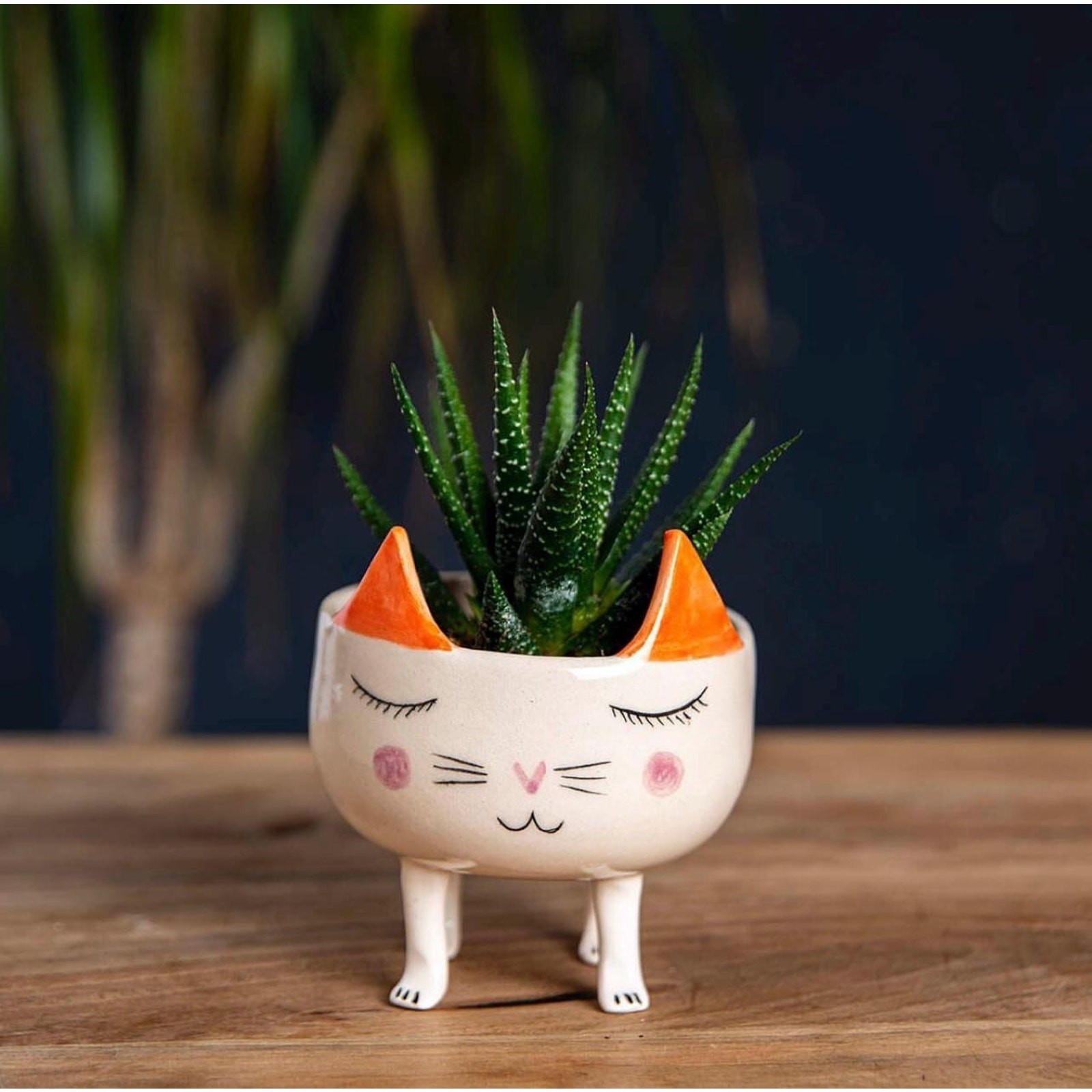 Handcrafted Ceramic Cat Planter, Whimsical Kitten Succulent Pot