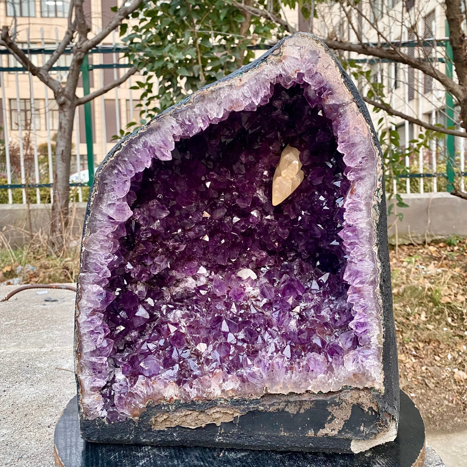 75.6LB Natural Amethyst Geode Quartz Crystal Cluster Cathedral Energy healing