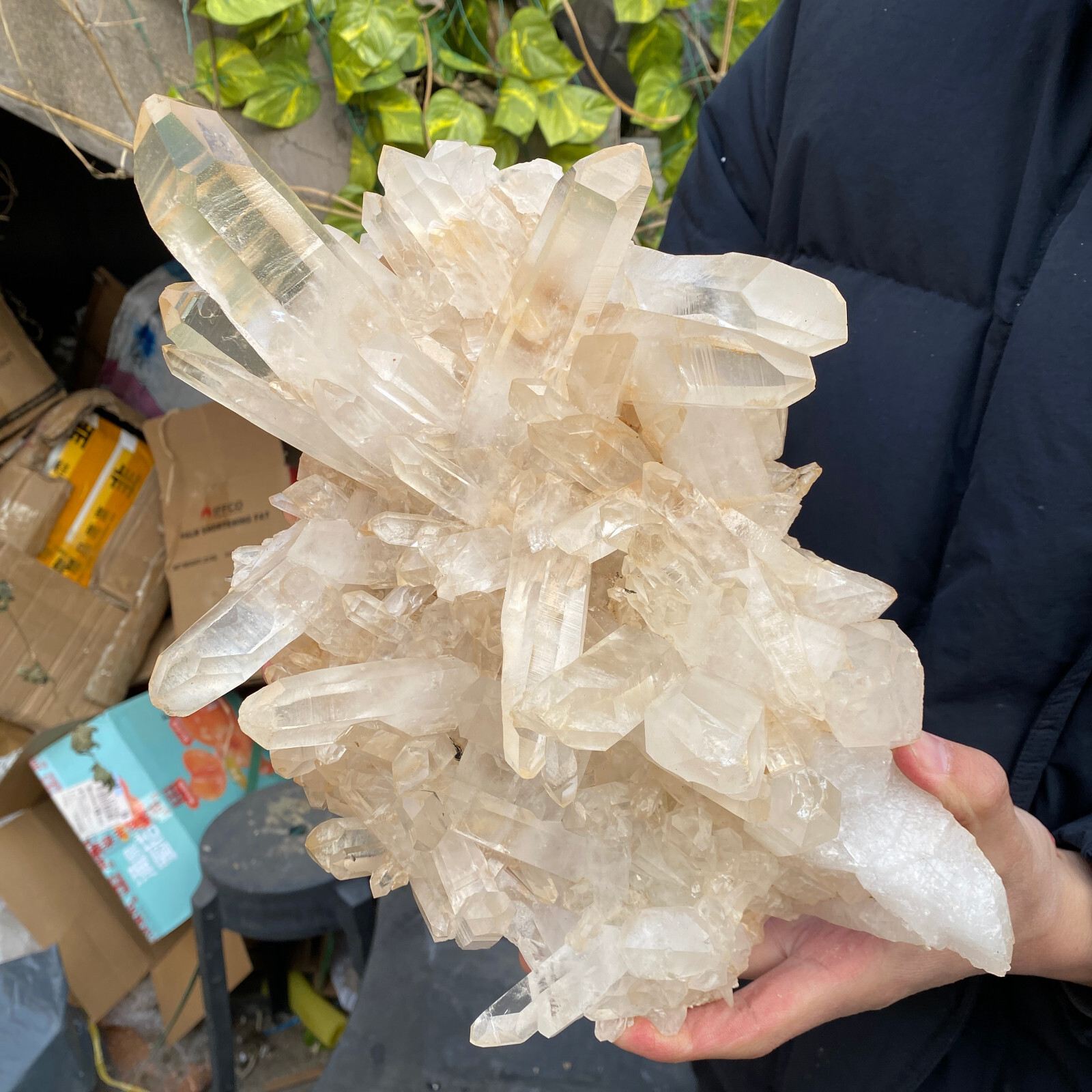 8.8LB A+Large Natural clear white Crystal Himalayan quartz cluster /mineralsls