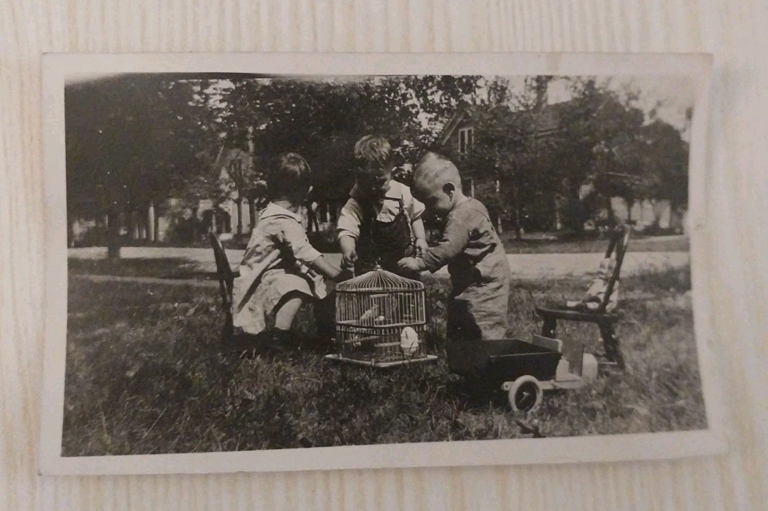 1919 Old Photo Cute Kids Siblings Pet Bird Cage Outdoors Antique Found Art Photo 1919 Old Photo Cute Kids Siblings Pet Bird Cage Outdoors Antique Found Art Photo
