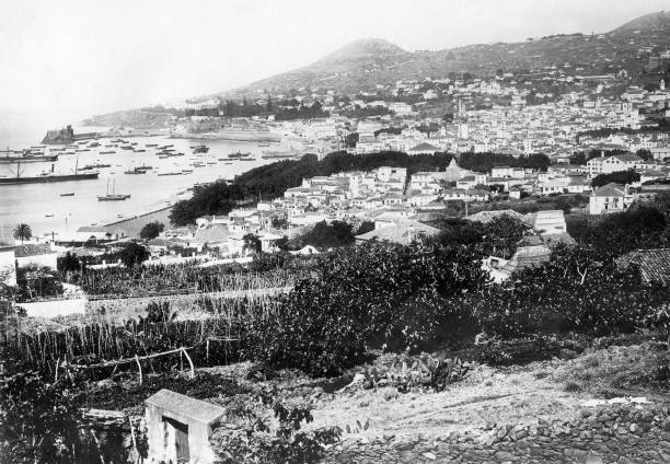 Town of Funchal 1910 OLD PHOTO
