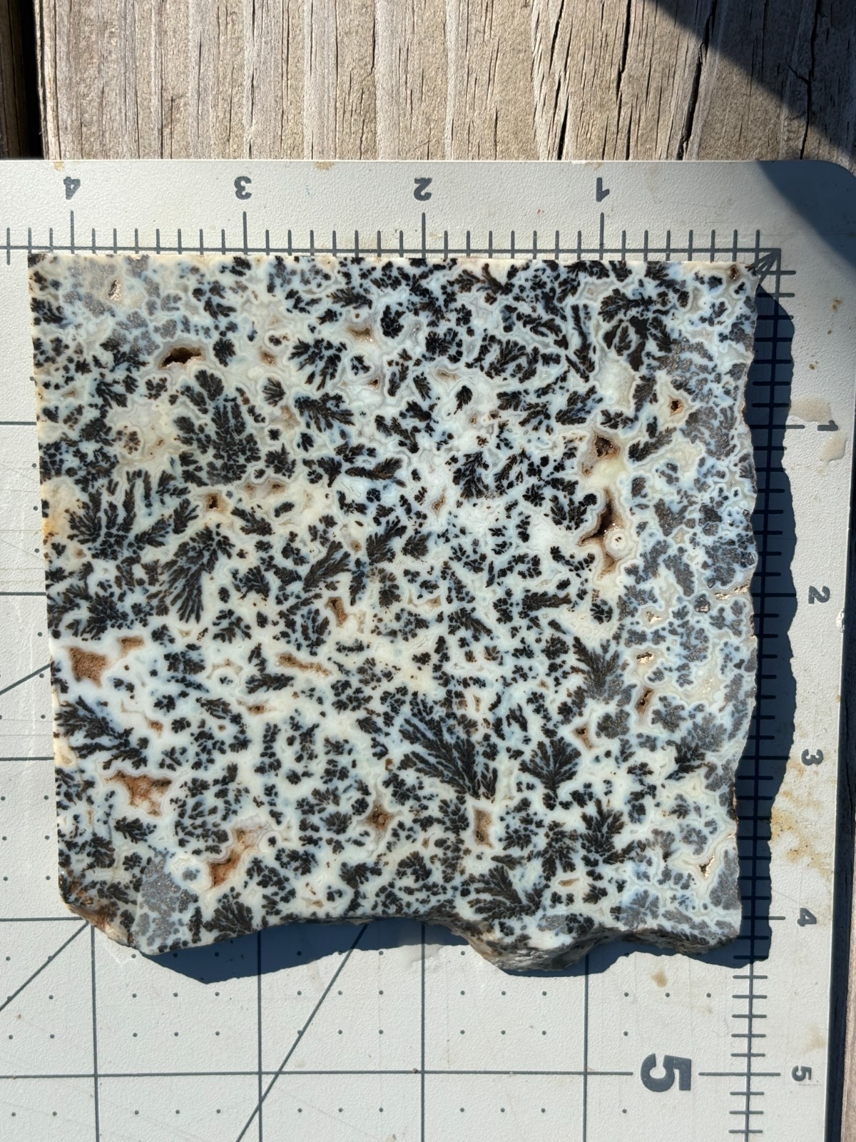 MEDICINE BOW AGATE from WYOMING - Slab MEDICINE BOW AGATE from WYOMING - Slab