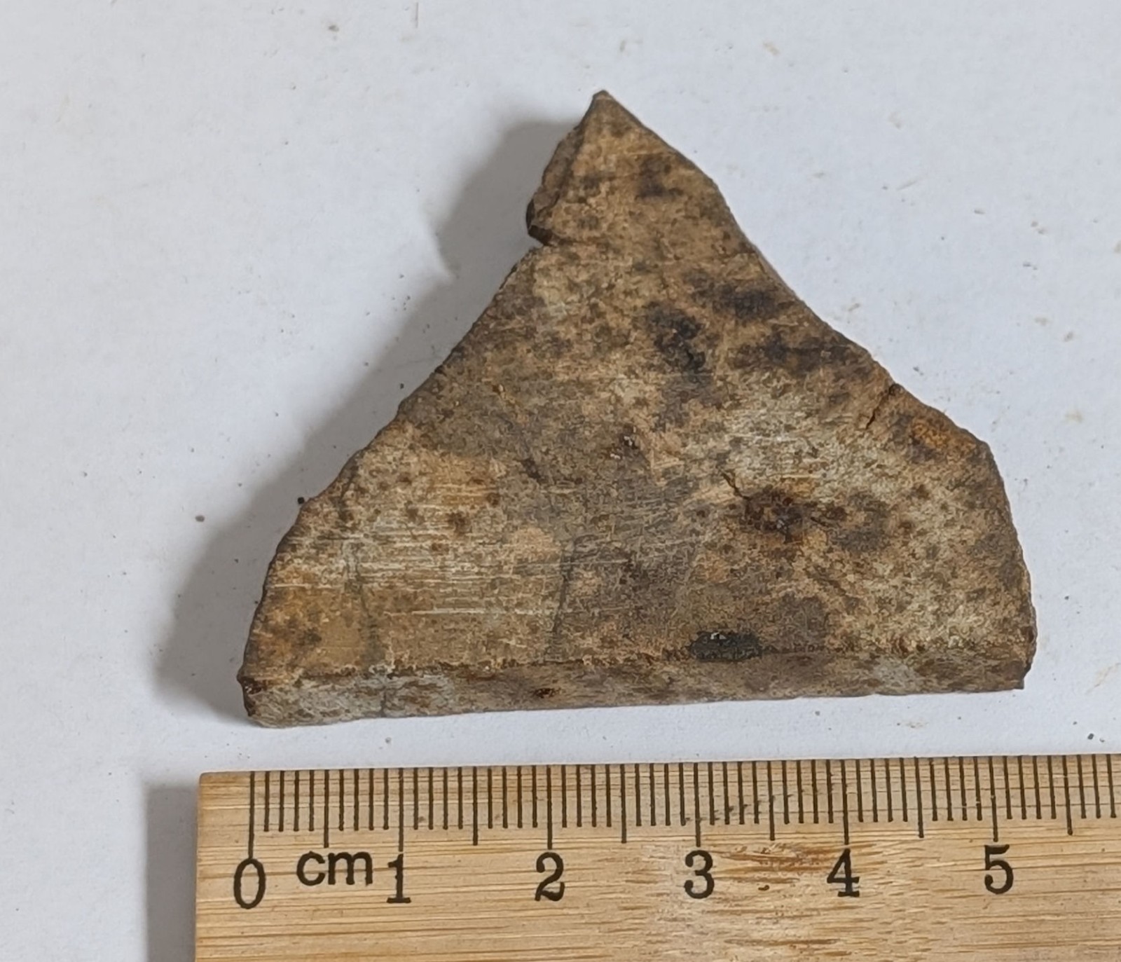 CUT 38 Gram Unclassified NWA METEORITE (#F8396)