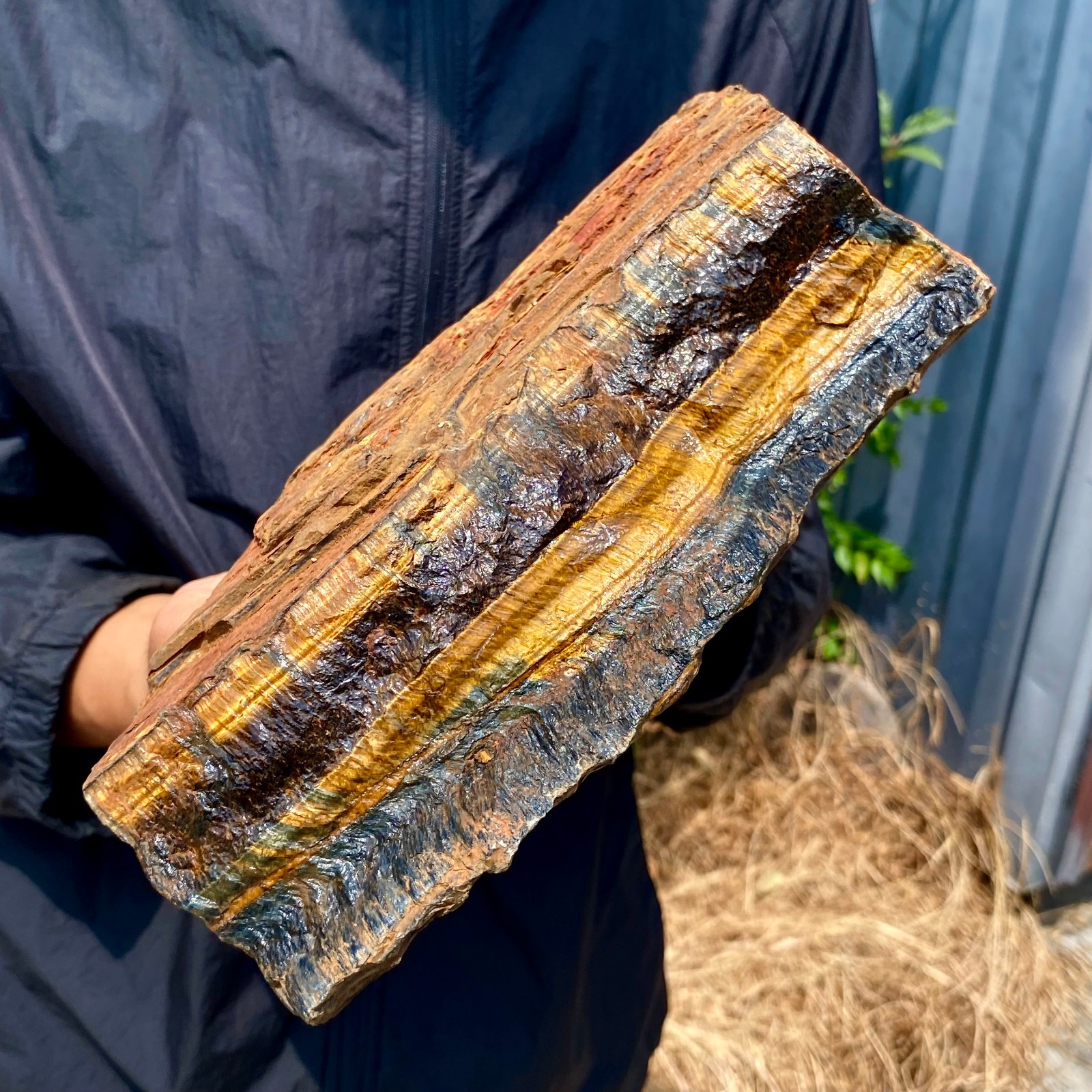 13.33LB Natural tiger's Eye rough raw stone rock specimrn madagescar
