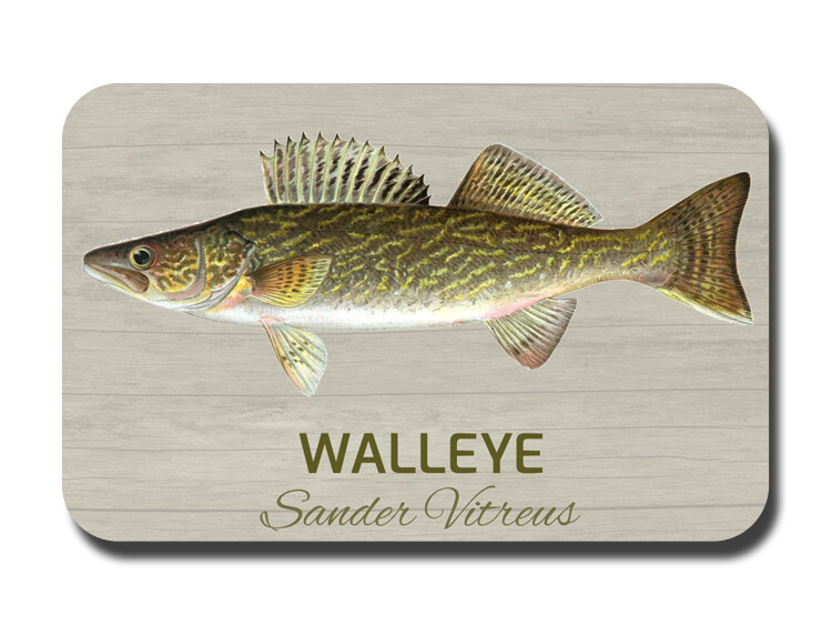 Fishing Fisherman Gift Fish ID Fridge Toolbox Magnet Magnets YOU CHOOSE Cottage