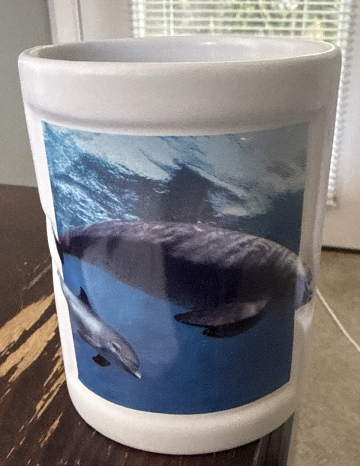 White Ceramic Tumbler Dolphin Toothbrush Holder