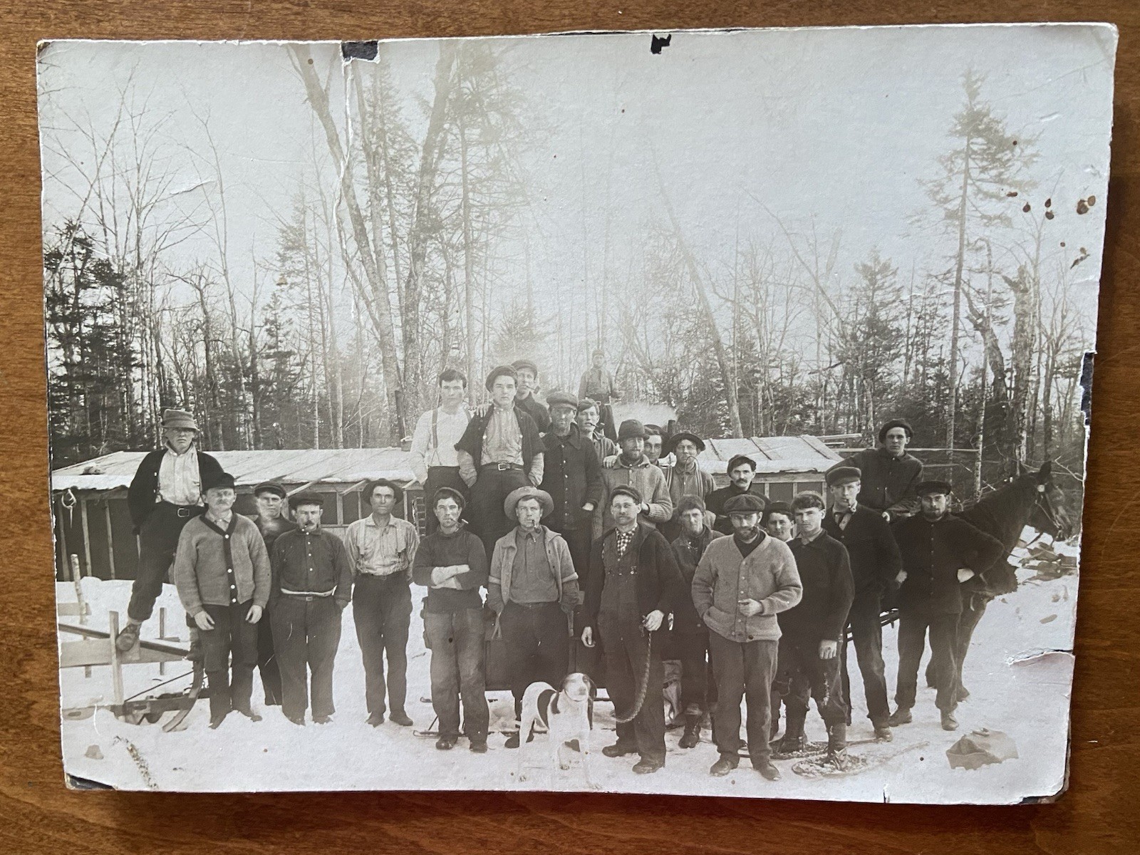 B&W ORIG PHOTO MAINE 25  LUMBERJACKS SNOW HORSE DOG LOGGING CAMP EARLY 1900’s