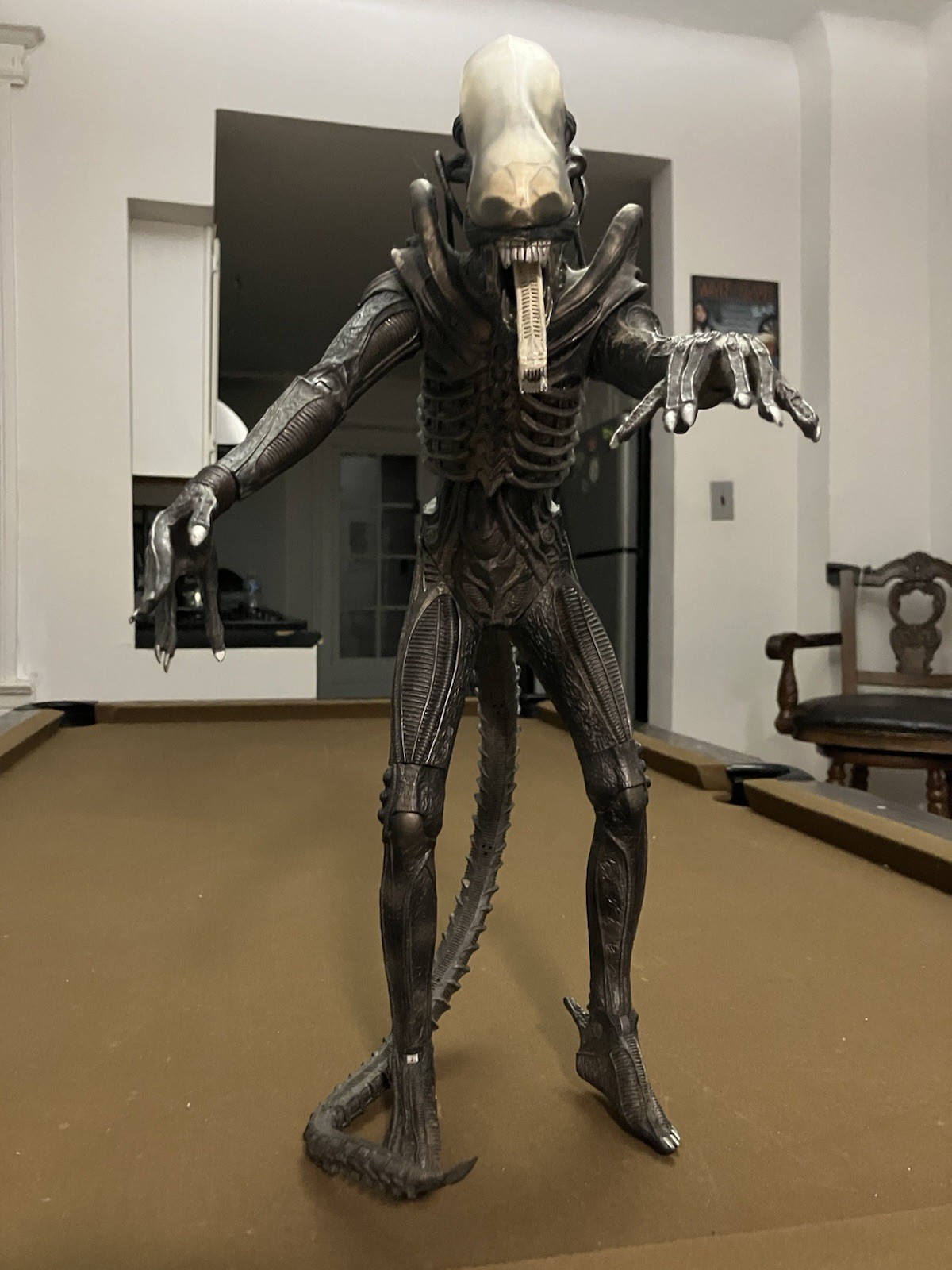 2008 Aliens Xenomorph Collectible Figure Black/Gray with Translucent Dome  22in