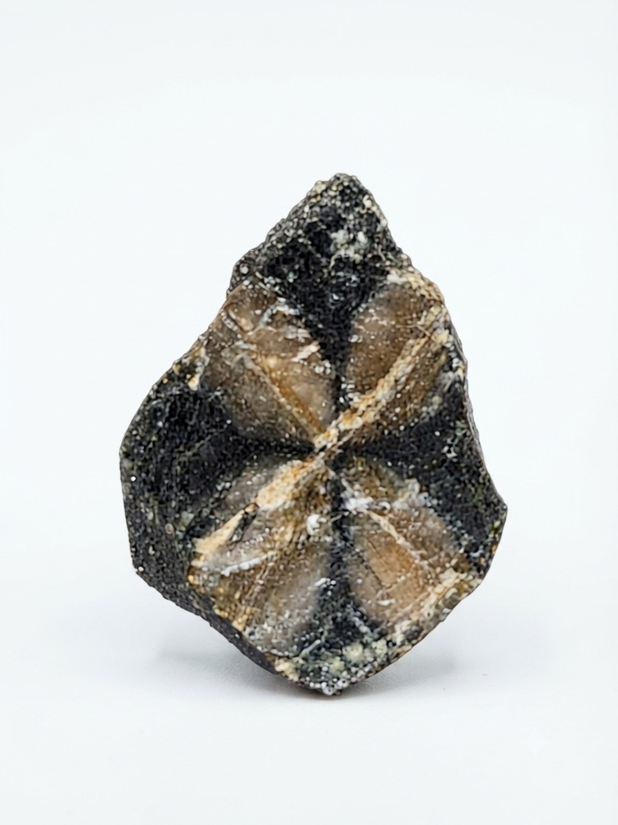 HIGH QUALITY NATURAL Chiastolite RAW