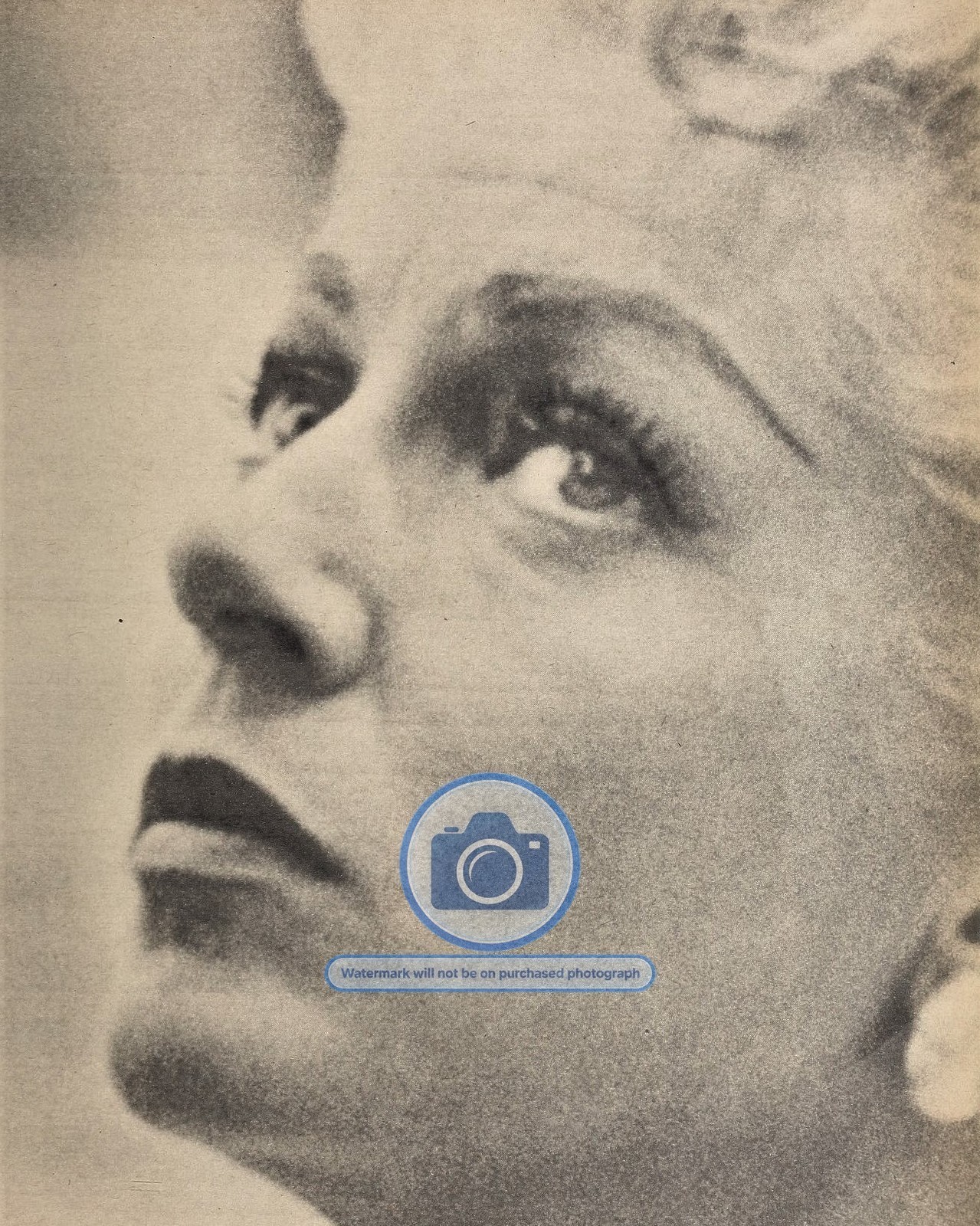 LANA TURNER 1960 HOLLYWOOD STAR 1960 8X10 PHOTO