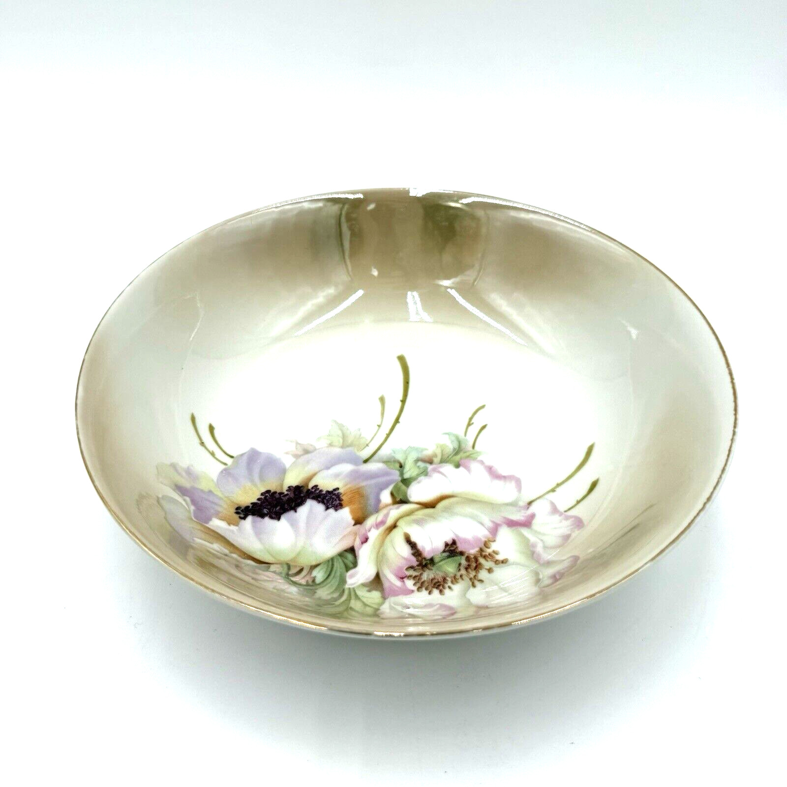Hand Painted Bavaria Munich Porcelain Bowl Floral Germany Vintage 8.5