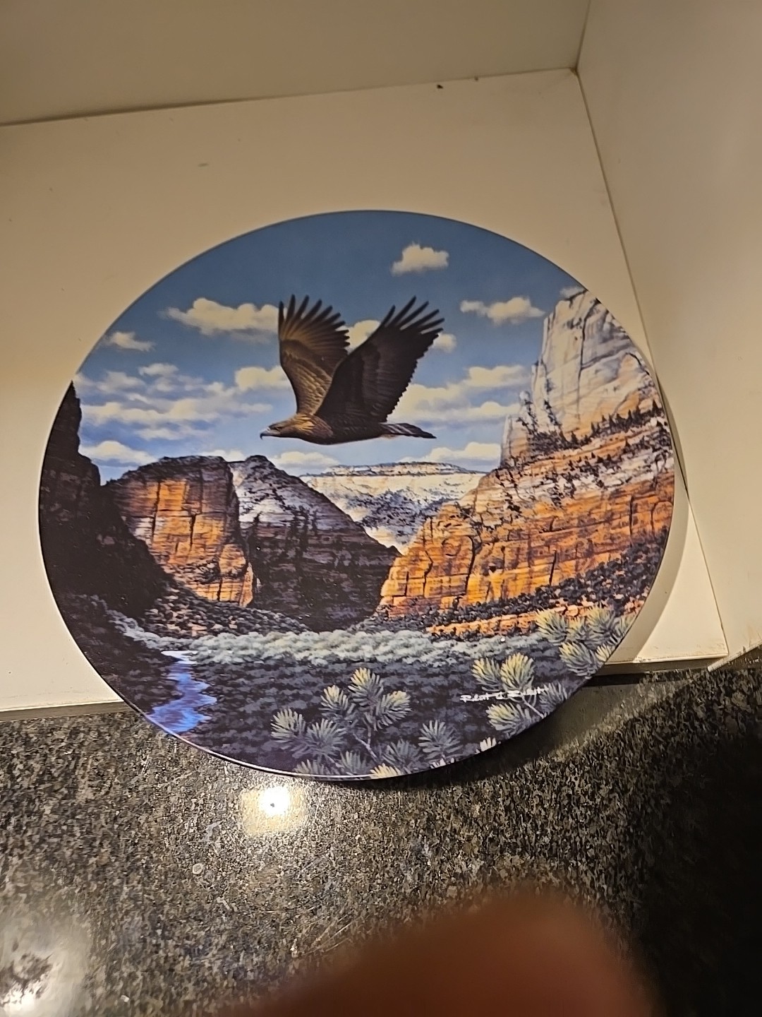W.S. GEORGE GOLDEN VISTA COLLECTORS PLATE 8” #1748A AMERICAS PRIDE EAGLE 1993 W.S. GEORGE GOLDEN VISTA COLLECTORS PLATE 8” #1748A AMERICAS PRIDE EAGLE 1993