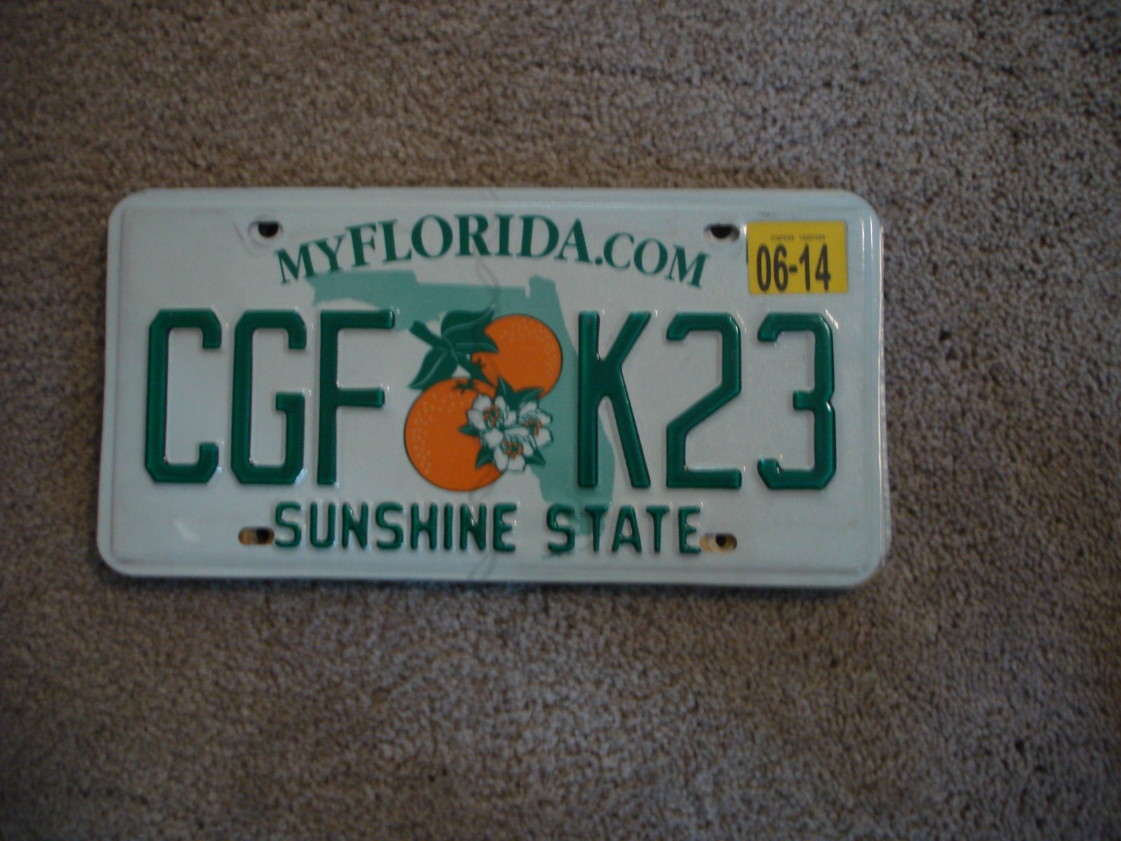 FLORIDA MYFLA SUNSHINE #    LICENSE PLATE BUY ALL STATES HERE 