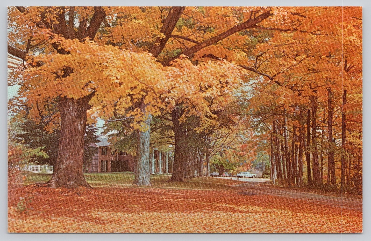 Nathaniel Hawthorne College Antrim NH Autumn Foliage Vintage Postcard