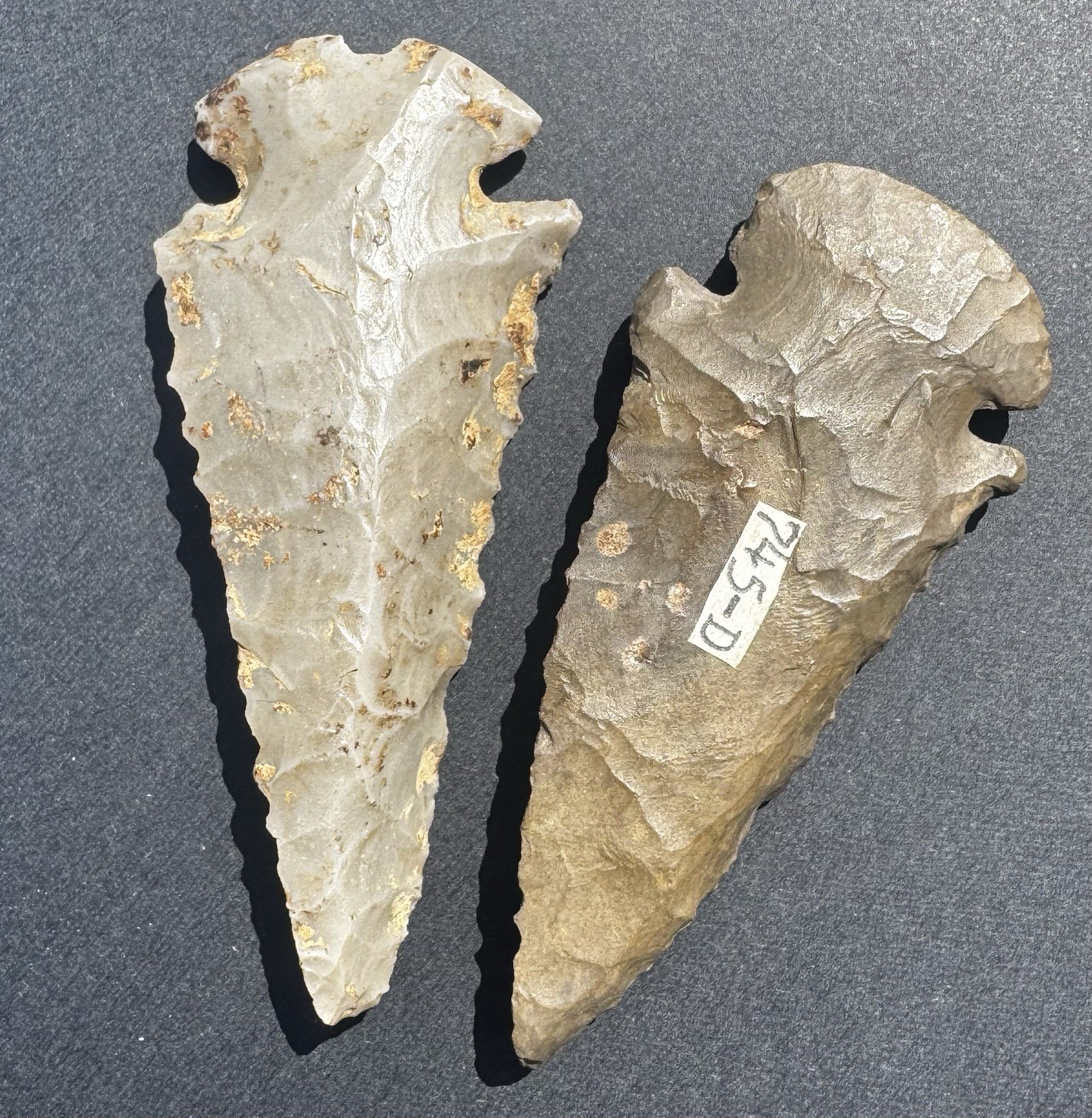 Pair Of Killer Dovetail Arrowhead Artifacts Largest Is 3 Inches Long MOTLEY COA
