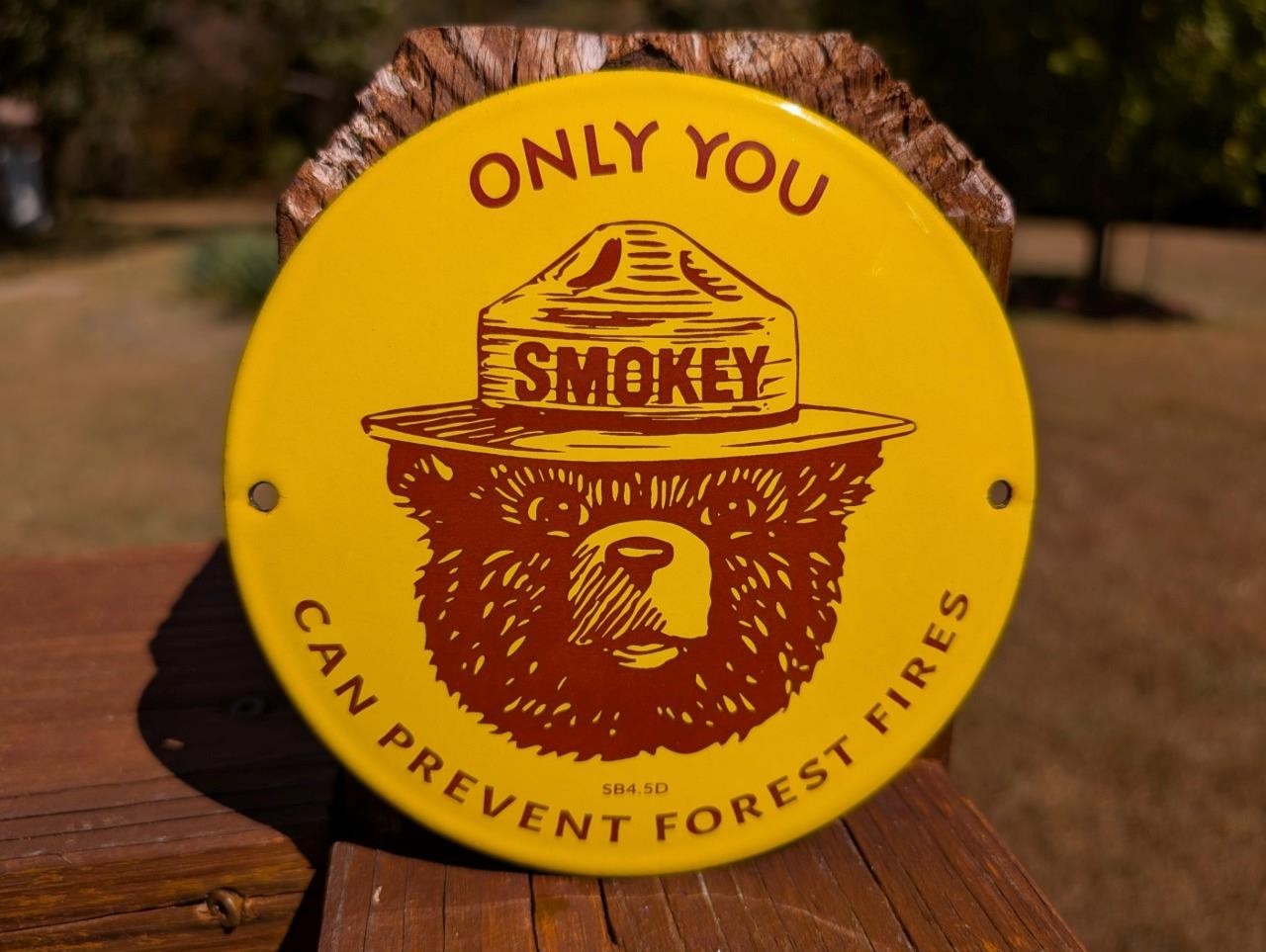 PORCELAIN SMOKEY BEAR DOME SIGN 6\