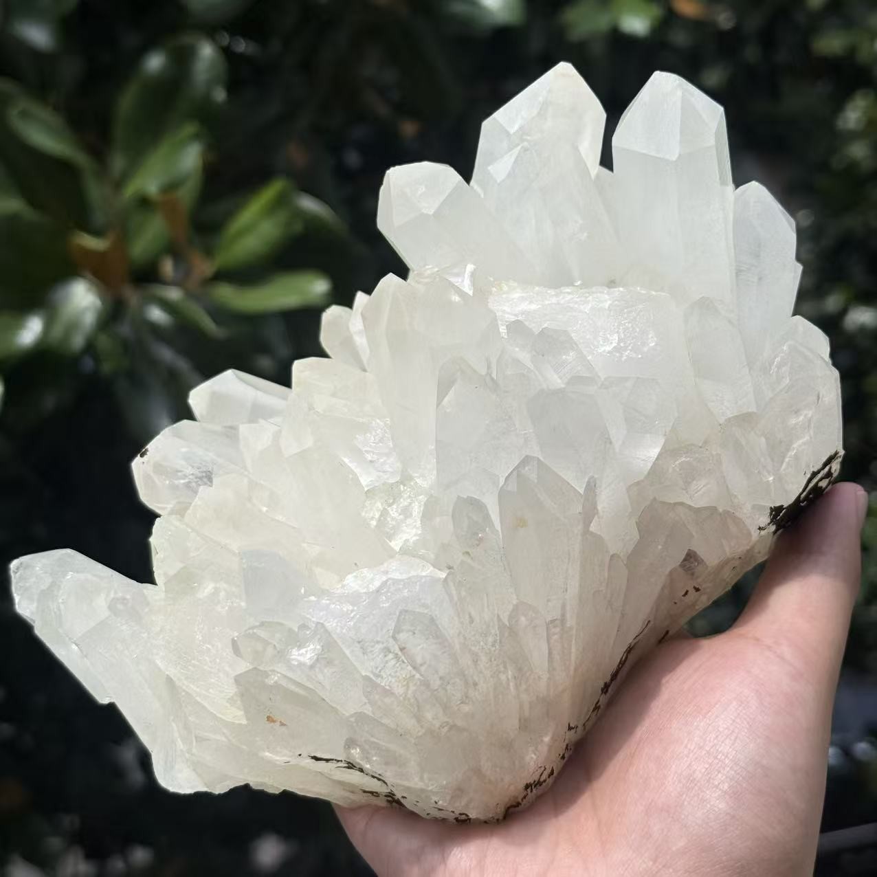 5.3LB Natural Clear Quartz Cluster Crystal Mineral Specimen Healing Stone Decor