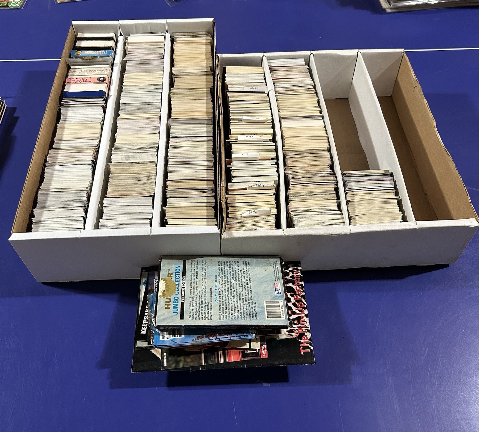 Huge Lot Adult Trading Cards 3000 Plus Penthouse Hot Shots Etc