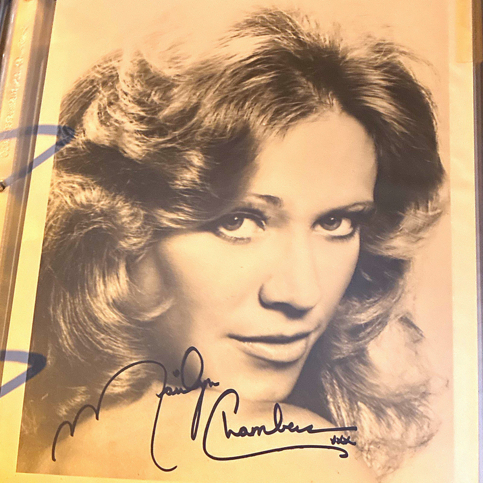 Marilyn Chambers Signed B&W Photo / Photograph - Autograph Not Authenticated